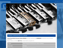 Tablet Screenshot of mentaliz.com